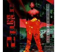2pac - Strictly for My N.I.G.G.a.Z [Import]