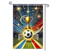 2Pcs Bannière Cour Victoire En Coupe Du Monde (Conception