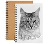 2pcs Carnet Note Spirale,200 GSM / 100 pages Cahiers de Croquis,A5 Sketch Bloc Spiralé pour Garçons Filles Peinture Aquarelle, Journalr, Dessin Paysage (Couverture Kraft)