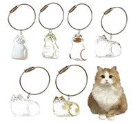 2pcs Cat Hair Boîte, Joue collecteur de Cheveux de Chat Mignon, Porte-clés pour la série de Fourrures pour Animaux de Compagnie et Souvenirs d'amants pour Animaux de Compagnie NO.2 and NO.6 2 pièces