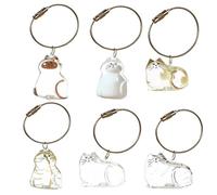 2pcs Chain de clés de cheveux, bouteille de coiffure pour animaux de compagnie, souvenir, souvenir de fourrure de chat, cadeau bien-aimé de l'amant pour animaux de compagnie NO.4 and NO.5 2 pièces