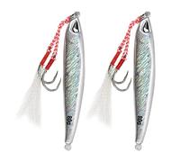 2Pcs Jigs de Pêche Verticaux - Leurre à Paillettes Artificiel à Lancer Long Plaque Fer avec Hameçons pour Thon, Bar, Mérou (80g)