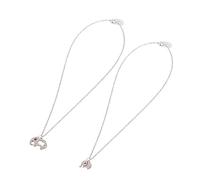 2pcs Necklace for Moms Women Pendant Mama Animal Mother and Daughter First Time Mom Present Silver Stainless Steel