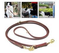 2pcs / Set Chien Laisse, Double-Fin en Cuir Anti-Perdu Chiens Harnais Corde Confortable Doux Ceinture De Traction De Chien avec Deux Crochets De Cuivre Deux Chiens Fournitures De