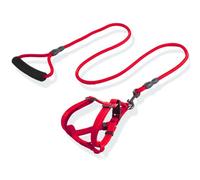 2pcs / Set Laisse pour Animaux de Compagnie Grande, Moyenne et Petite Laisse de Marche Chien Chat Laisse Poitrine Harnais Collier Fournitures pour Animaux de Compagnie