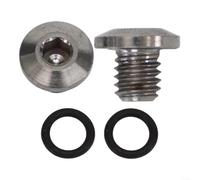 2pcs Ti Alloy Bleed Screw M5x5mm with O-ring M5x5mm Titanium Brake Bleed Screw 2pcs Kit Bicycle Disc Brake Bleed Screw M5x5mm Ti Lightweight Ti Alloy Bleed Screw M5x5mm 2pcs Leak-Proof Bleed (silver)