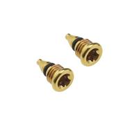 2Pcs Vis de Purge de Vélo pour Réservoir à Levier T25 Compatible avec Magura EBT Goujons en Alliage de Titane, Or