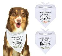 2pièces Bandana Chien Écharpe Triangulaire pour Animaux,Big Brother Plante Écharpe Bavoirs,Scarf Accessori Promoted to Be Big Sister,Accessoires Photo Tendance pour Animaux de Compagnie