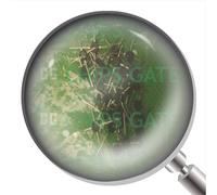 2SC3358 30Pcs 2SC3358 Encapsulation:Latin Cross,Npn Planar Epitaxial