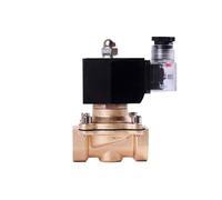 2T Series Normally Closed Brass Solenoid Valve DN10-50 Liquefied Petroleum Gas Natural Gas Switch Water Valves 220V 24V 12V(DN32,NPT_12VDC)