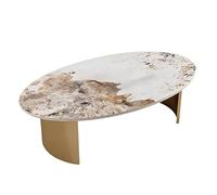 2WFYJNITP Salon Table Basse elliptique Modern Home Rock Slab Centre-Table(Multi-Colored,Petit)