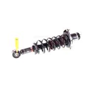 2x Jambe de Suspension Amortisseur Arrière pour Toyota Corolla (E12) Compact