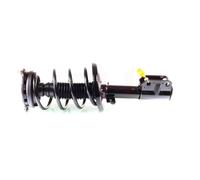 2x Jambe de Suspension Amortisseur Avant pour Renault Megane III 1.4-1.6