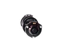 2x Amortisseur AGHGH-356300C01 GH