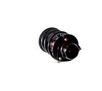 2x Amortisseur AGHGH-359320C01 GH