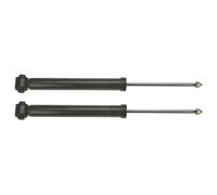 TRW Amortisseur de boîte JGT1098T - Set de 2
