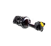 2x Amortisseur GH-354447C02 GH GH