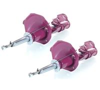 2x Amortisseur PRO à Gaz Avant Droite=Gauche GH+352259H/V