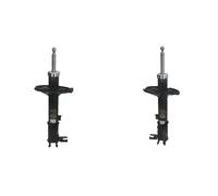 2x Amortisseurs ASHIKA ARRIÈRE G+D pour HYUNDAI ACCENT I
