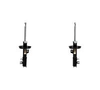 2x Amortisseurs ASHIKA AVANT G+D pour CHEVROLET AVEO II