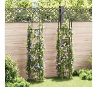 2x Arche Jardin Forme de Tour Terrasse Patio Tuteur Plantes Grimpantes vidaXL