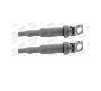2x Borgwarner ( Beru ) ZS324 Bobine pour BMW E46 E90 E91 E92 E93 F31 F30 F80 E81