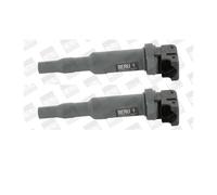 2x Borgwarner ( Beru ) ZSE145 Bobine pour BMW E90 E91 E87 E60 E61 E85 E65 E66