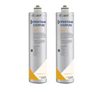 2x Cartouche filtrante Everpure 4C² / EV960556 / EV9605-56