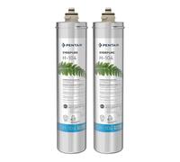 Cartouche filtrante Everpure H-104 / EV961206 / EV9612-06
