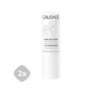 2x Caudalie Bâton Protecteur Réparateur Antioxydant Lèvres Sèches 4,5 g Lip