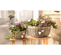 2x corbeille à plantes "Coeurs" en osier & bois, gris, corbeille à fleurs, jardinière, panier en osier avec pendentif en forme de coeur, panier tressé