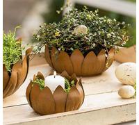 2x coupe ronde "Feuilles" en métal aspect rouille, Ø 11 & 16 cm, jardinière, coupe à fruits, pot de fleurs, décoration de table, bac à plantes, décoration de jardin pour l'extérieur