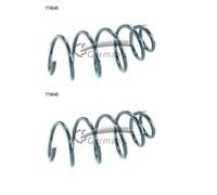 2X CS ALLEMAGNE 14.774.545 Ressort De Suspension Avant Pour Opel Insignia A G09