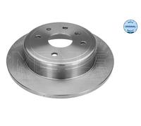 2x Disque de frein Essieu arrière plein 29-15 523 0000 MEYLE pour CHEVROLET