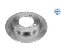 2x Disque de frein Essieu arrière plein 515 523 5029 MEYLE pour MITSUBISHI VOLVO