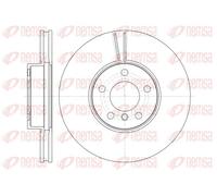 2x Disque de frein Essieu avant ventilé 61307.10 REMSA pour BMW X5 X6