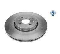 2x Disque de frein MEYLE 16-15 521 0038/PD convient pour RENAULT