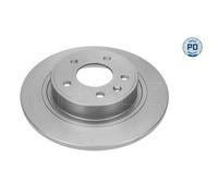 Meyle Disque de frein 615 523 0010/PD Essieu arrière plein pour OPEL VAUXHALL Lot de 2