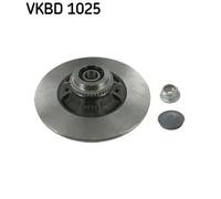 2x Disque de frein plein VKBD 1025 SKF pour RENAULT MEGANE I Coach MEGANE I