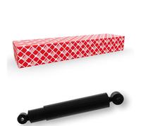 2x FEBI BILSTEIN Amortisseur pour MAN TGA Avant 20489