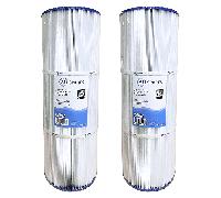 AllSpares Filtre compatible avec Poolex PF-NFX075CT pour Netflux 75