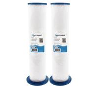 2x Filtre pour spa Sundance 6473-164 / PP1604 / SC762