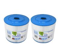2x Filtre pour Vita Spa PVT50W / Leisure Bay Spa / C-8350 / 80502 / VS50