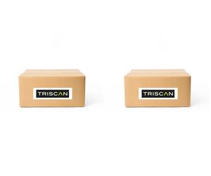 2x Fusées TRISCAN G+D pour SEAT, VW ALHAMBRA II, CC B7, LEON 2, LEON
