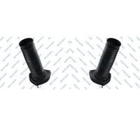 2X GSP Support De Amortisseur Arrière Gauche Droite Pour Lexus RX MHU3
