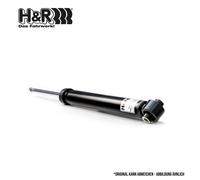 2x H&R D16-1011-01 Amortisseur Arrière