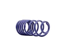 2x H&R Ressort court Ressorts courts 29176HA1 à l'arrière für 1K 1P