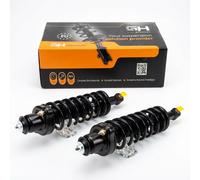 2x Jambe de Suspension Amortisseur Arrière pour Mitsubishi Outlander I 2004-2006