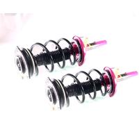 2x Jambe de Suspension Amortisseur PRO Avant pour Renault Scénic II 1.5 DCi 2.0