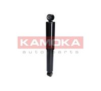 2x KAMOKA Jambe de suspension Amortisseur pour FIAT Ducato II Van (244) Arrière